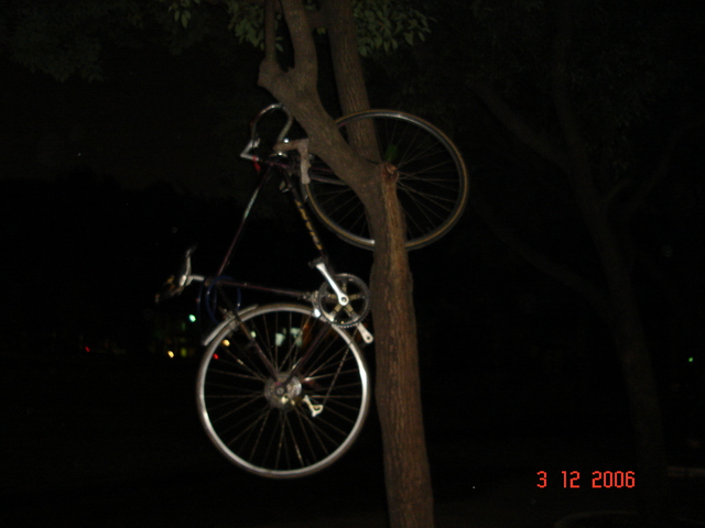 檔案:方姓同學的腳踏車on the tree.jpg